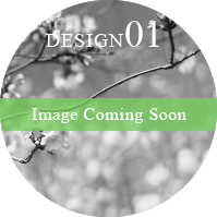 DESIGN01 Image Coming Soon