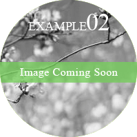 EXAMPLE02 Image Coming Soon