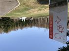 つなぐ　札幌へお墓をお引越しをお考えの方へ