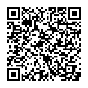 QR_Code根浜