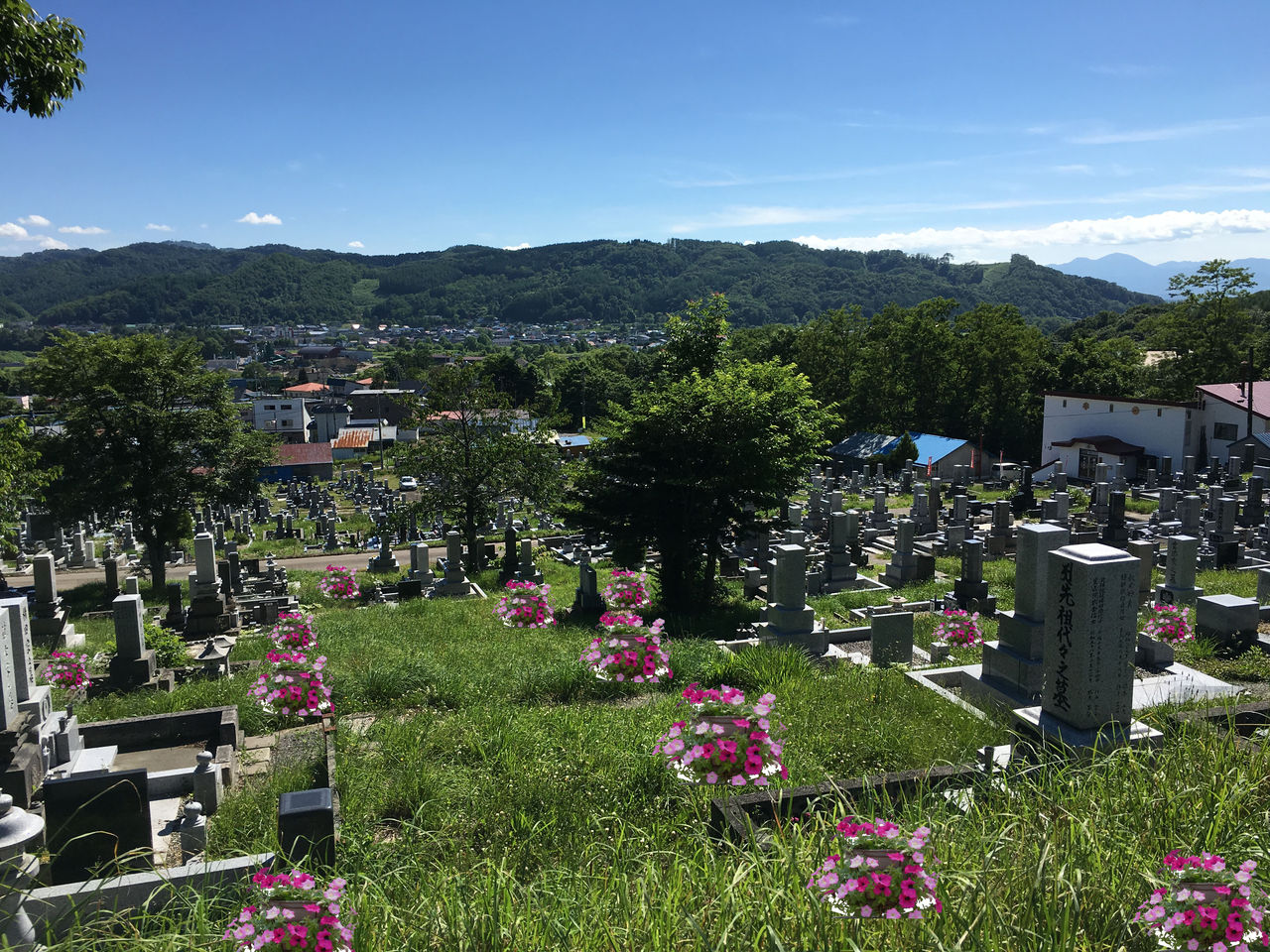 豊里墓地にもし花があったら