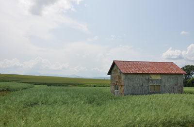 江部乙19丁目小屋