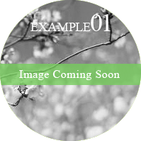 EXAMPLE01 Image Coming Soon