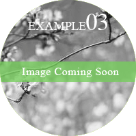 EXAMPLE03 Image Coming Soon