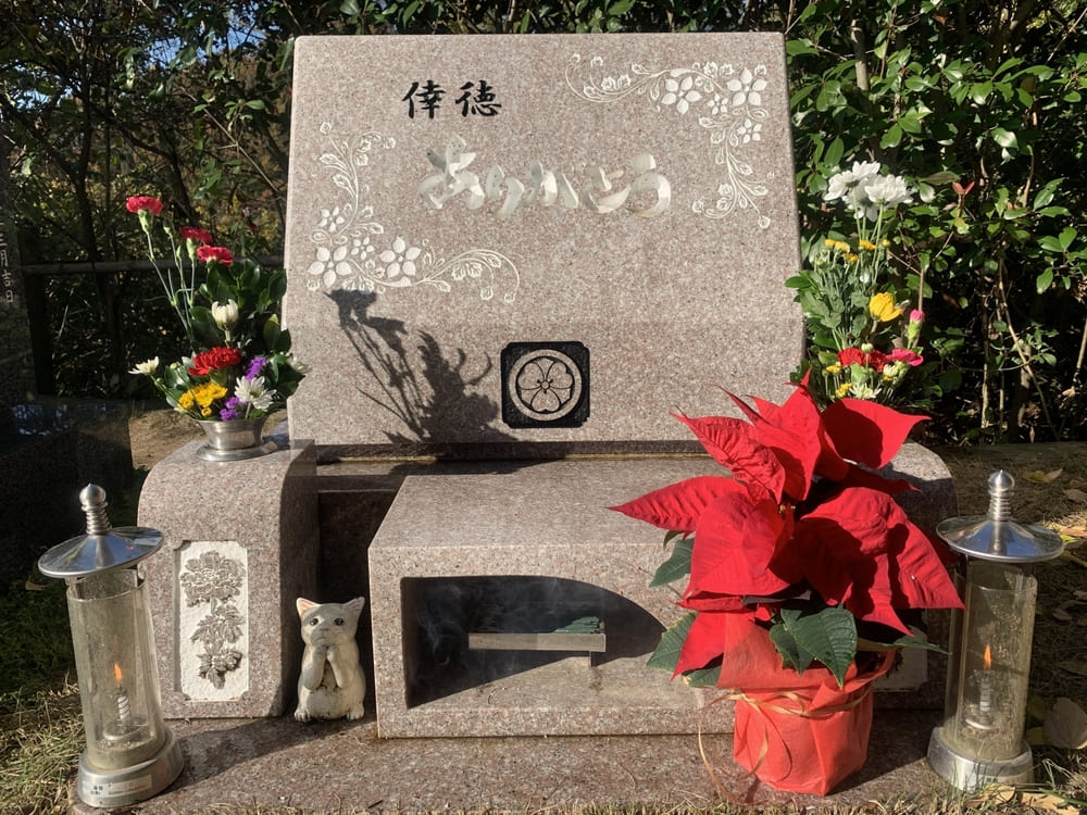 夫婦だけのお墓の後悔しない選び方