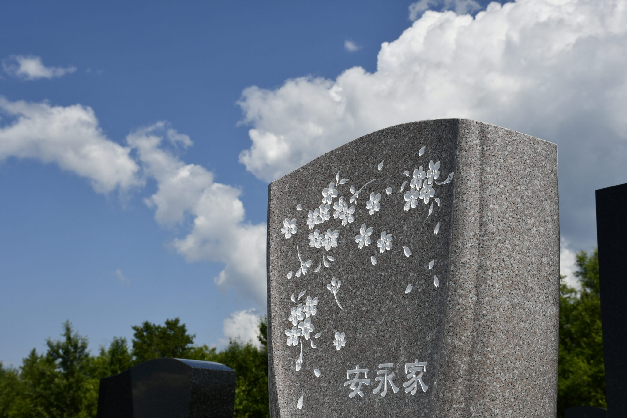 桜の花咲くお墓 お墓のご紹介 / お墓を建てる 滝川や札幌でお墓や墓石をお考えなら山崎石材 桜の花咲くお墓 お墓のご紹介 / お墓を建てる 滝川や札幌でお墓や墓石をお考えなら山崎石材